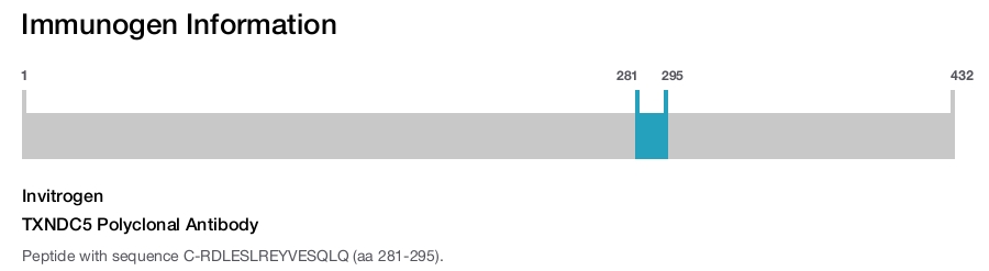 TXNDC5 Polyclonal Antibody