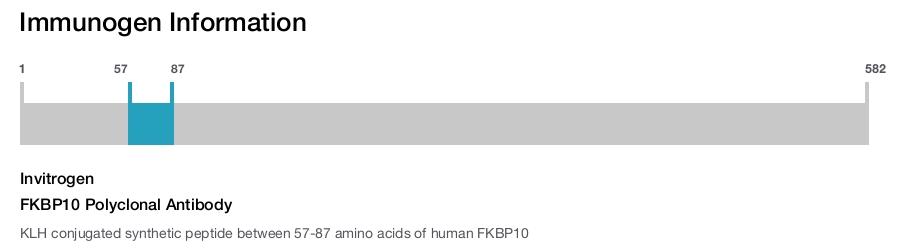 FKBP10 Polyclonal Antibody