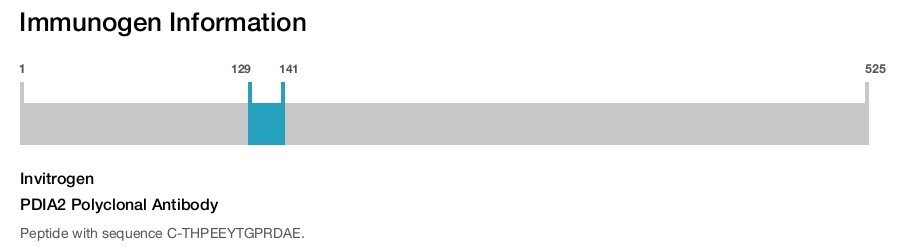 PDIA2 Polyclonal Antibody