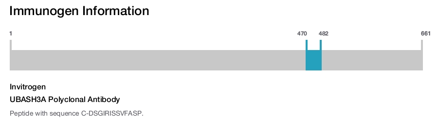 UBASH3A Polyclonal Antibody