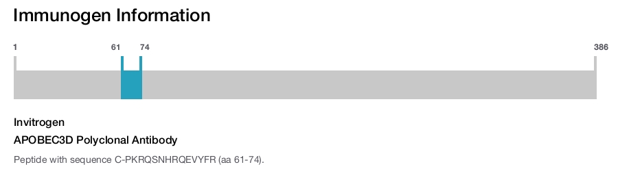 APOBEC3D Polyclonal Antibody