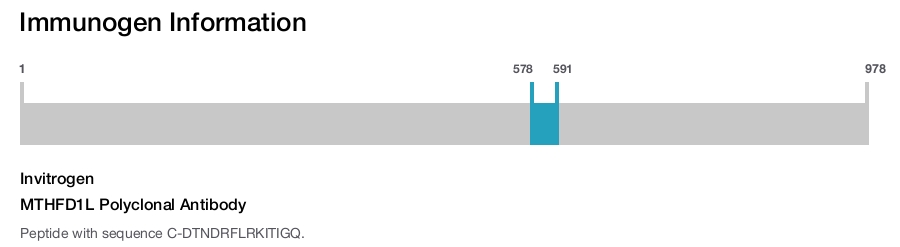 MTHFD1L Polyclonal Antibody