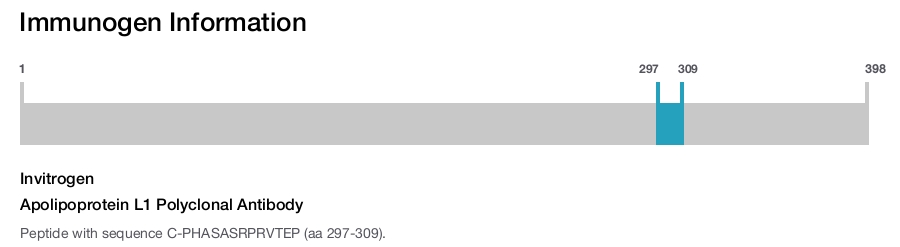 Apolipoprotein L1 Polyclonal Antibody