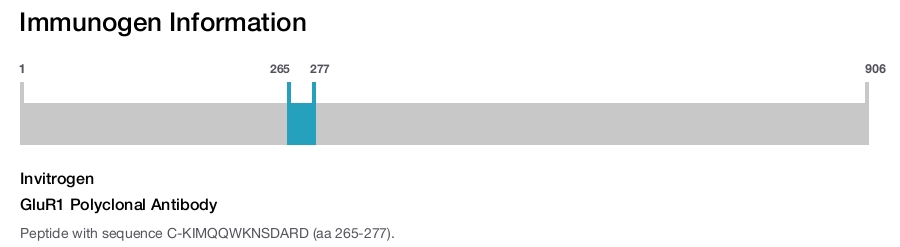 GluR1 Polyclonal Antibody
