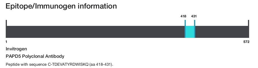 PAPD5 Polyclonal Antibody