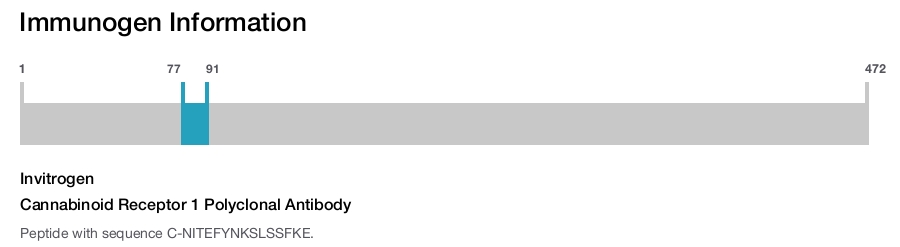 Cannabinoid Receptor 1 Polyclonal Antibody