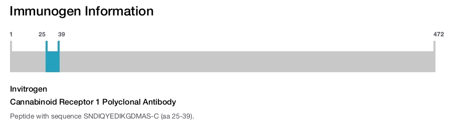 Cannabinoid Receptor 1 Polyclonal Antibody