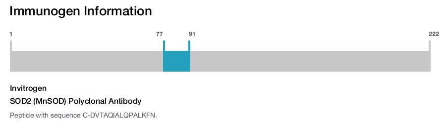 SOD2 (MnSOD) Polyclonal Antibody