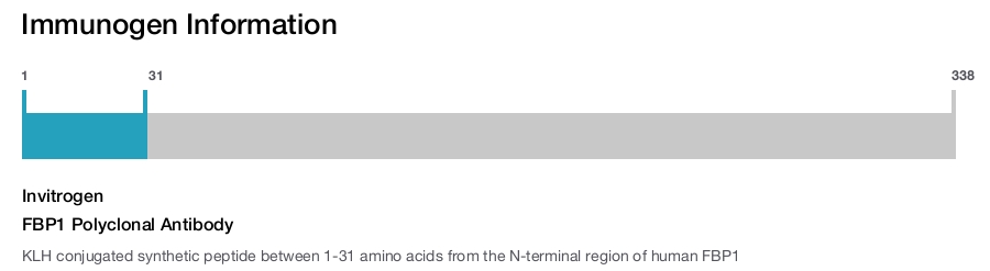 FBP1 Polyclonal Antibody