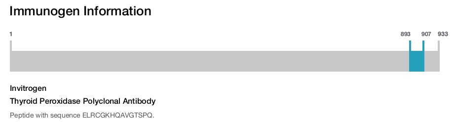 Thyroid Peroxidase Polyclonal Antibody