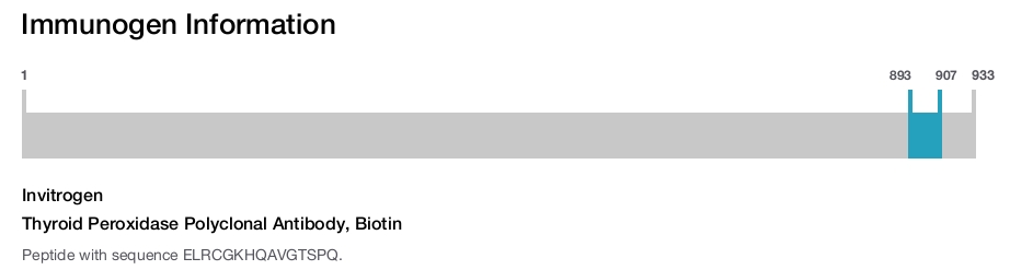 Thyroid Peroxidase Polyclonal Antibody, Biotin