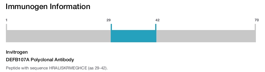 DEFB107A Polyclonal Antibody