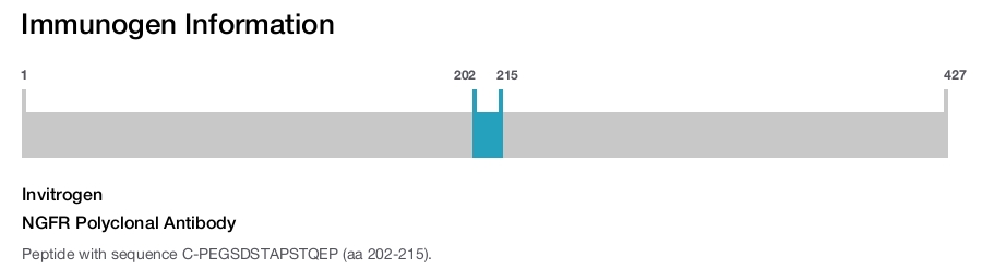 NGFR Polyclonal Antibody