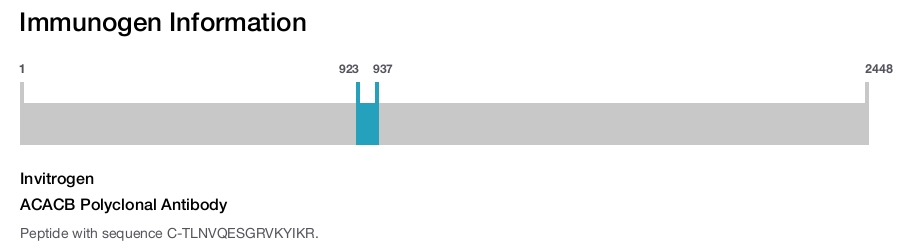 ACACB Polyclonal Antibody