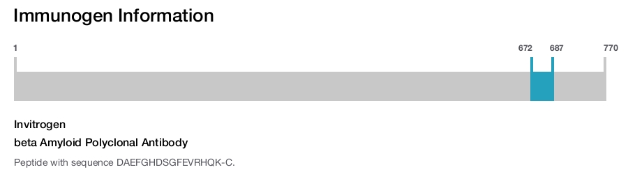 beta Amyloid Polyclonal Antibody
