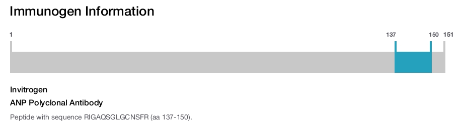 ANP Polyclonal Antibody