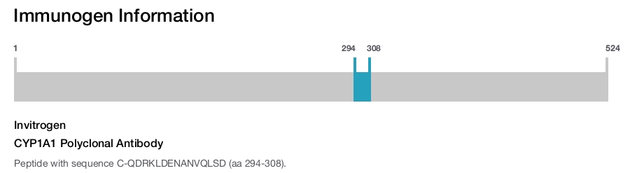 CYP1A1 Polyclonal Antibody