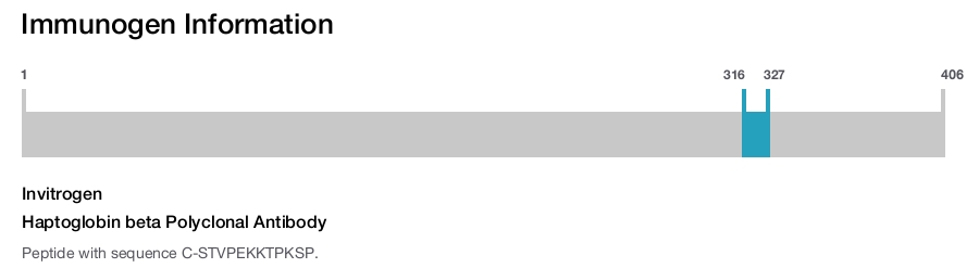 Haptoglobin beta Polyclonal Antibody