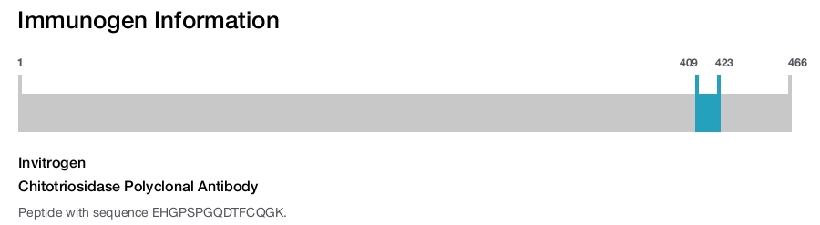 Chitotriosidase Polyclonal Antibody