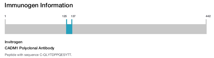 CADM1 Polyclonal Antibody