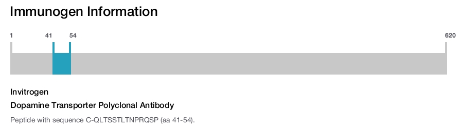 Dopamine Transporter Polyclonal Antibody