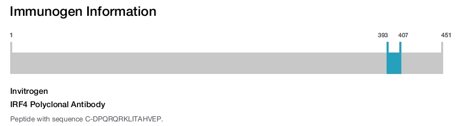 IRF4 Polyclonal Antibody