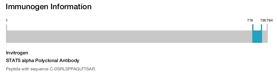 STAT5 alpha Polyclonal Antibody