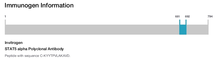 STAT5 alpha Polyclonal Antibody