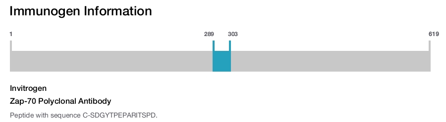 Zap-70 Polyclonal Antibody