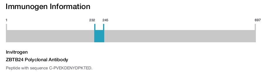 ZBTB24 Polyclonal Antibody