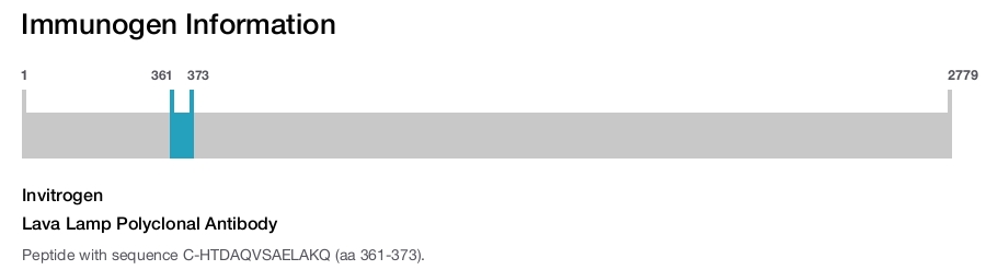Lava Lamp Polyclonal Antibody