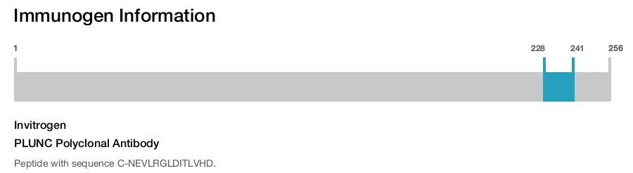 PLUNC Polyclonal Antibody