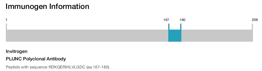 PLUNC Polyclonal Antibody