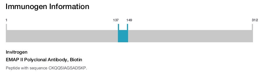 EMAP II Polyclonal Antibody, Biotin