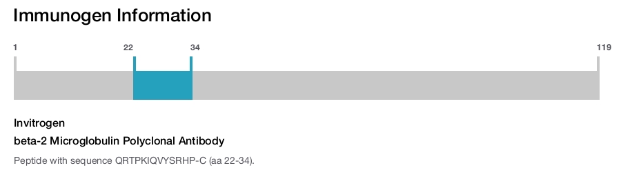 beta-2 Microglobulin Polyclonal Antibody