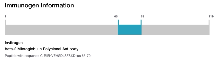 beta-2 Microglobulin Polyclonal Antibody