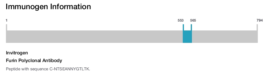 Furin Polyclonal Antibody