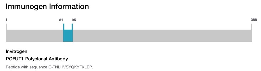 POFUT1 Polyclonal Antibody