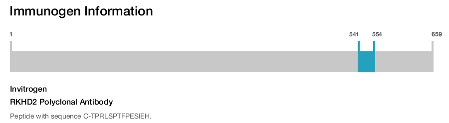 RKHD2 Polyclonal Antibody