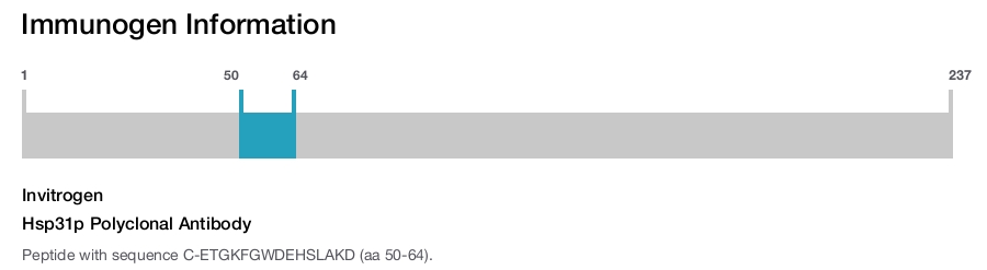 Hsp31p Polyclonal Antibody