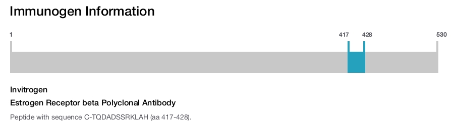 Estrogen Receptor beta Polyclonal Antibody