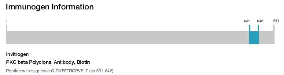PKC beta Polyclonal Antibody, Biotin