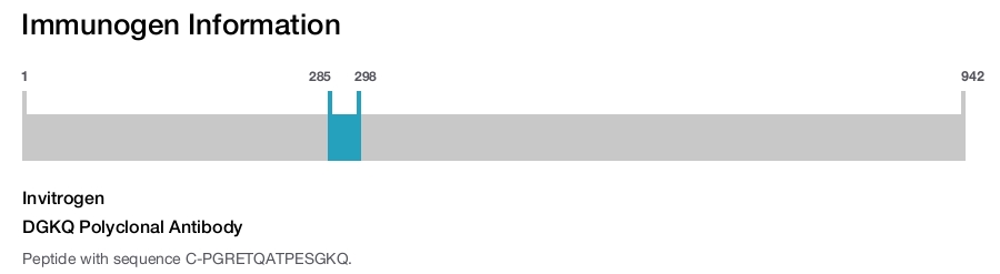 DGKQ Polyclonal Antibody