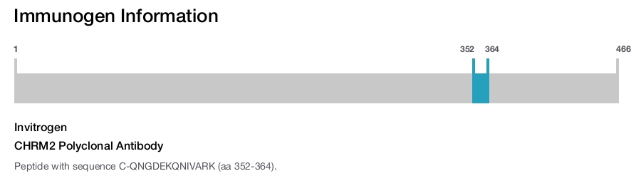 CHRM2 Polyclonal Antibody