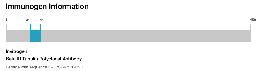 Beta III Tubulin Polyclonal Antibody