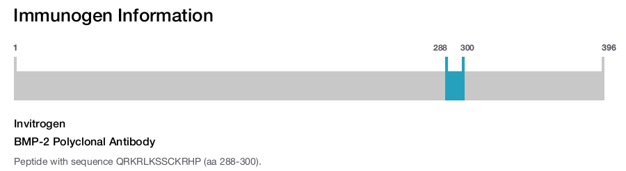 BMP-2 Polyclonal Antibody