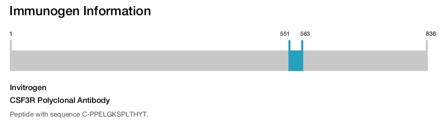 CSF3R Polyclonal Antibody