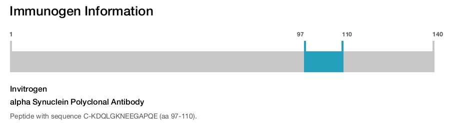 alpha Synuclein Polyclonal Antibody
