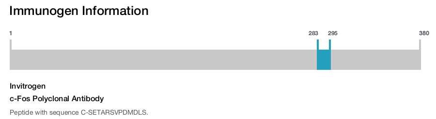 c-Fos Polyclonal Antibody