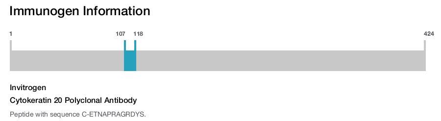 Cytokeratin 20 Polyclonal Antibody